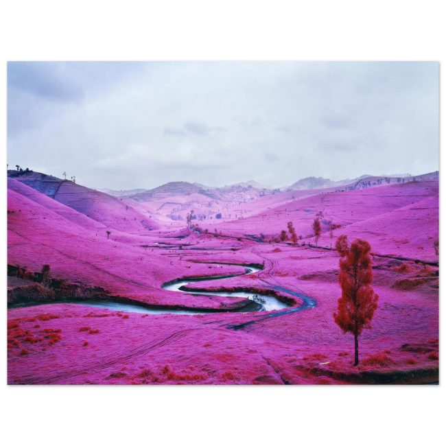 MOSSE II (45 x 60 cm)